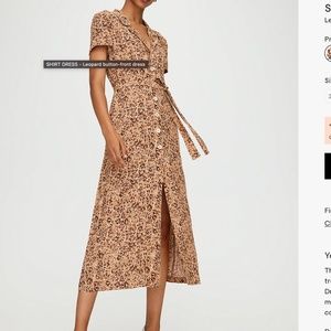 Aritzia Shirt Dress